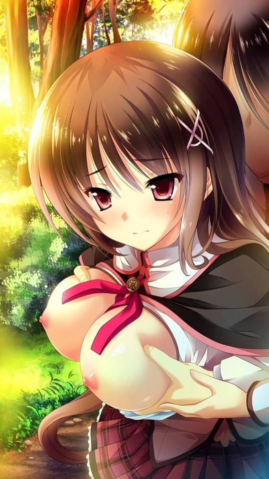 威力バツグンなおっぱいの二次エロ画像詰め合わせ