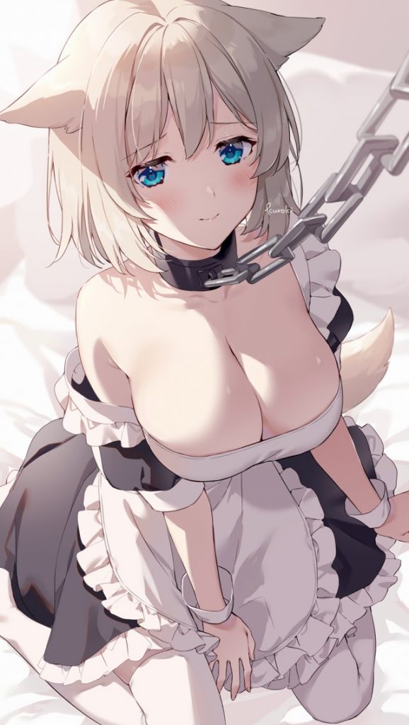 ケモ耳の二次元エロ画像。