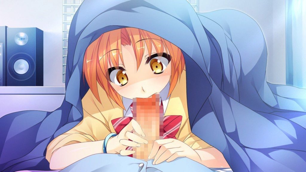 フェラチオの選り抜き画像♪