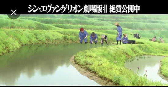 中出しのエロ画像を集めてみた