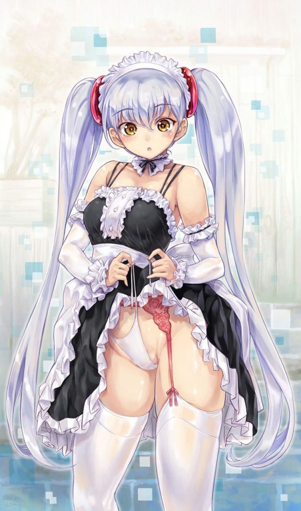 ガーターベルトのドエロい画像