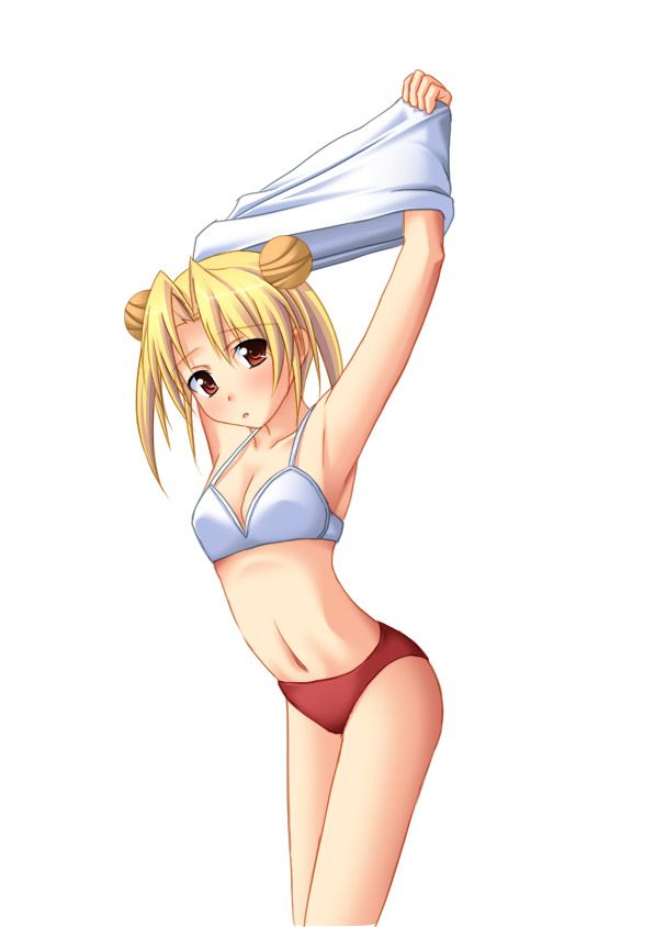 戦国乙女のエロ画像を復習していく