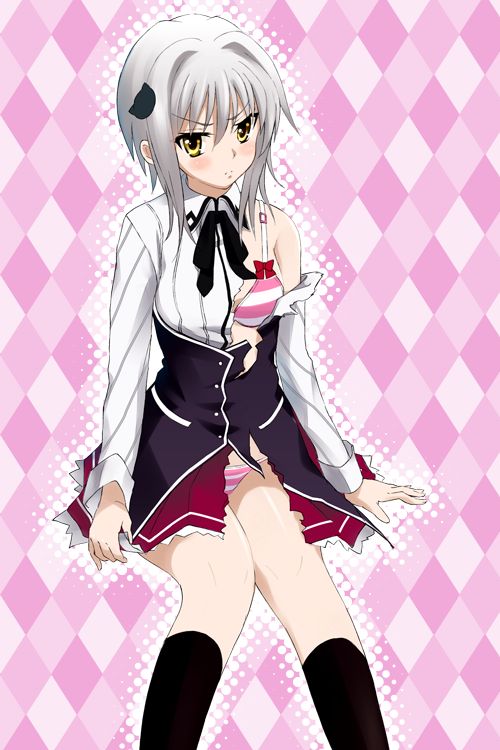 ハイスクールD×Dの二次エロ画像