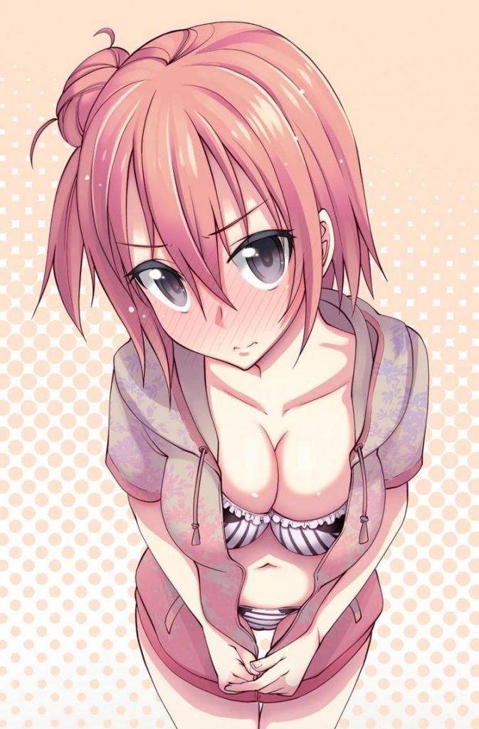 やはり俺の青春ラブコメはまちがっている。のエロ画像でシコりたい奴集まれ！
