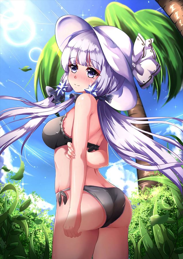 アズールレーンのエロ画像を復習していく