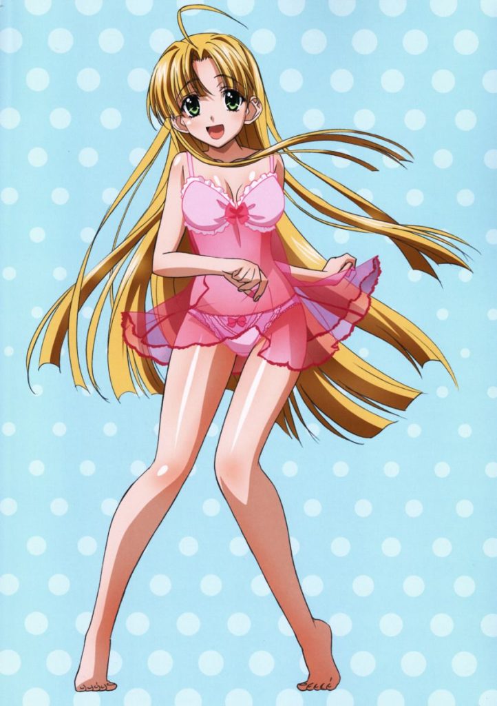 ハイスクールD×Dのエロ画像補給中！