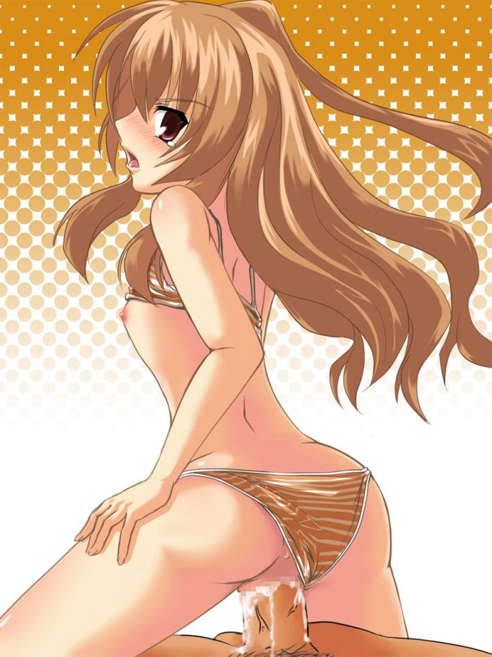 【エロ画像】とらドラ！のヤラシイ画像を今日のオカズにしませんか？