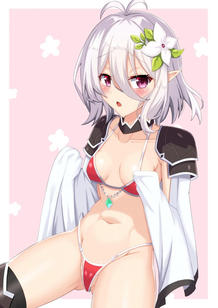 ビキニの高画質なエロ画像を探してみました!
