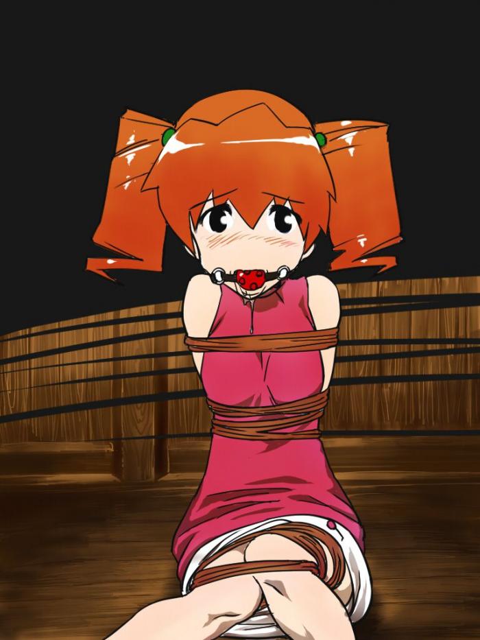 メダロットの虹エロ画像