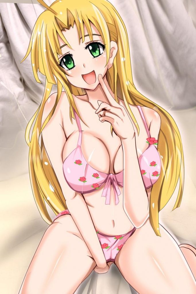 ハイスクールD×Dを期待する人が集まる画像倉庫。