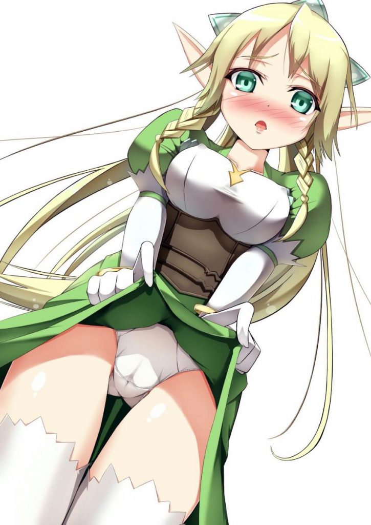 ソードアート・オンラインの秘密のエロ画像を収集