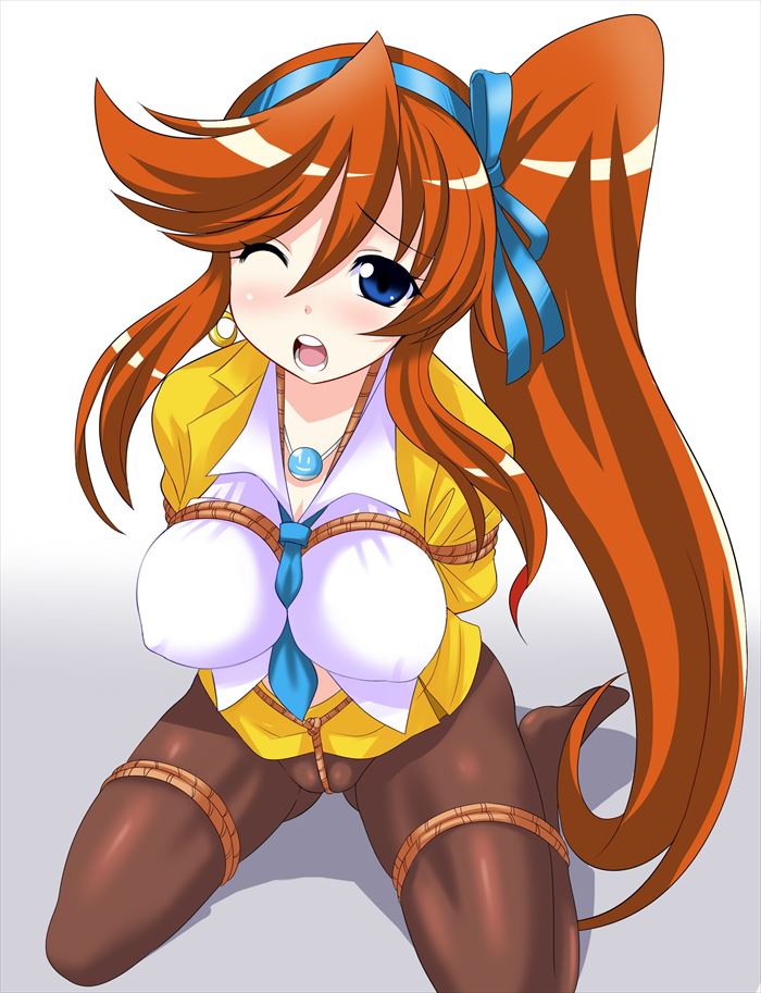 逆転裁判が好きすぎて画像がいくらあっても足りない