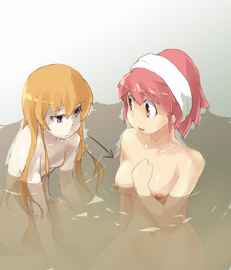 貧乳でしこれる二次画像ください!