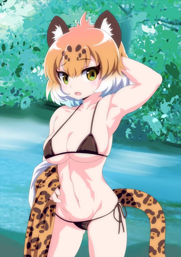 けものフレンズの二次画像がヌけすぎてこまる件について
