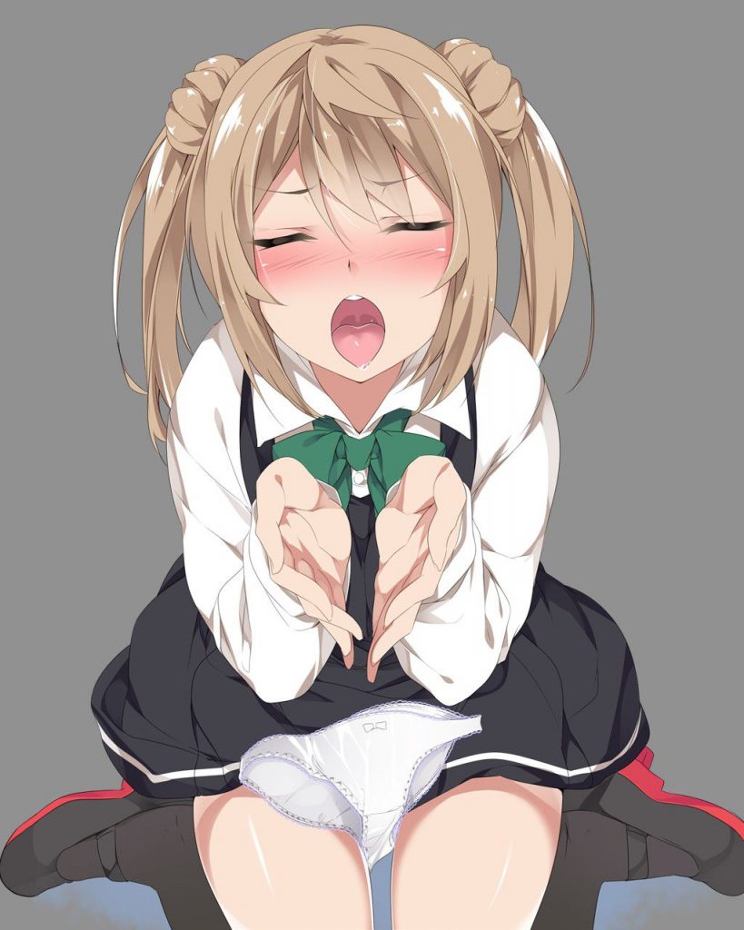 主観の二次エロ画像で！