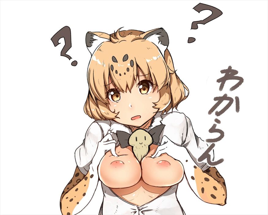 【エロ画像】けものフレンズのヤラシイ画像を今日のオカズにしませんか？