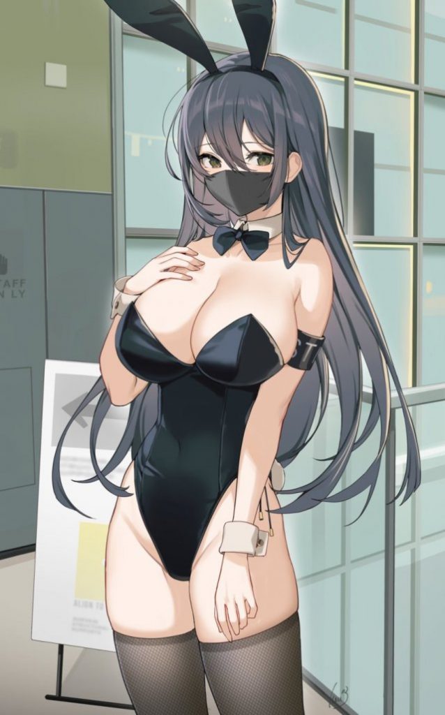 バニーガールの抜けるエロ画像ください!