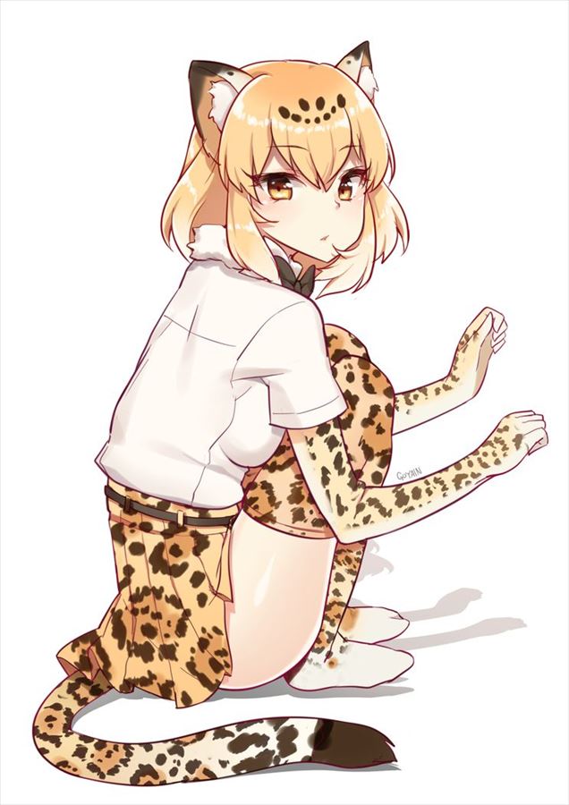 けものフレンズの二次画像がヌけすぎてこまる件について