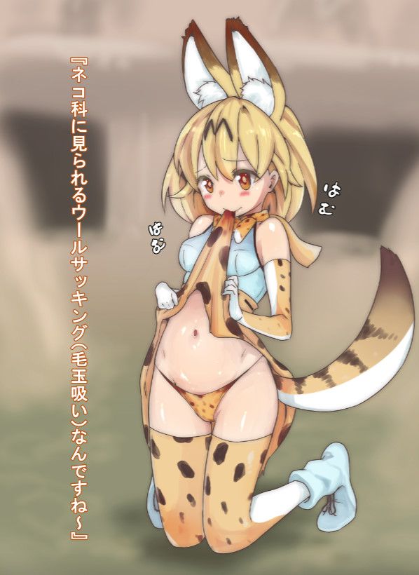 けものフレンズのエロすぎる画像ください！