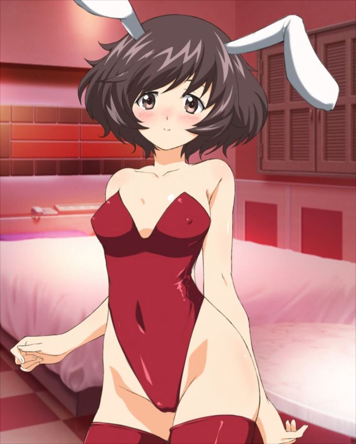 ガールズ&パンツァーの画像ってエロいよな？