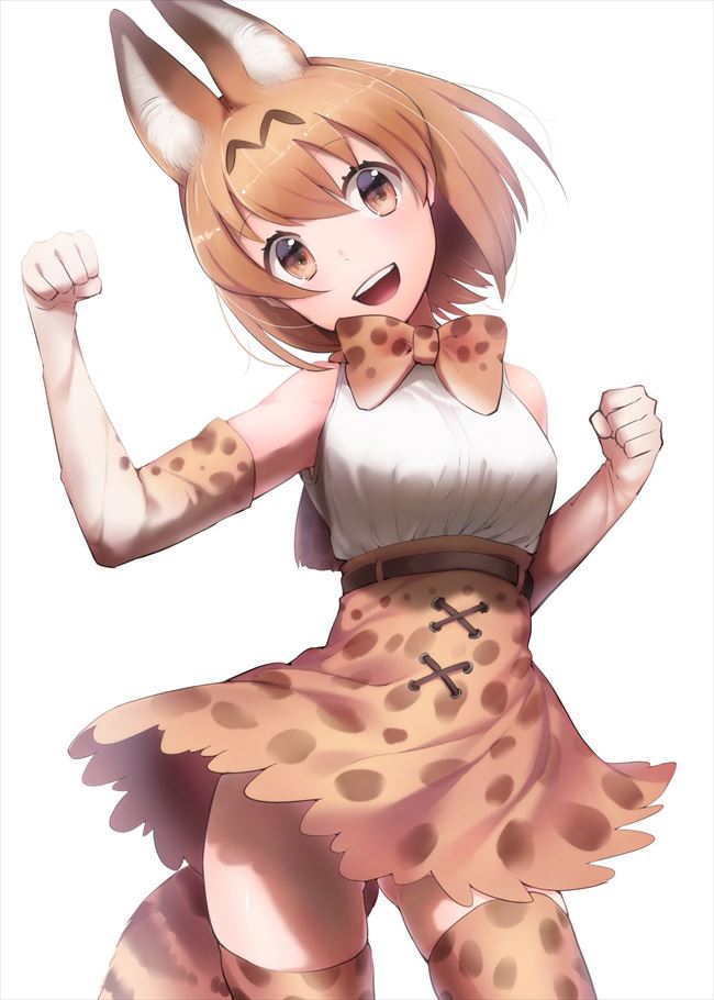 けものフレンズの二次画像がヌけすぎてこまる件について