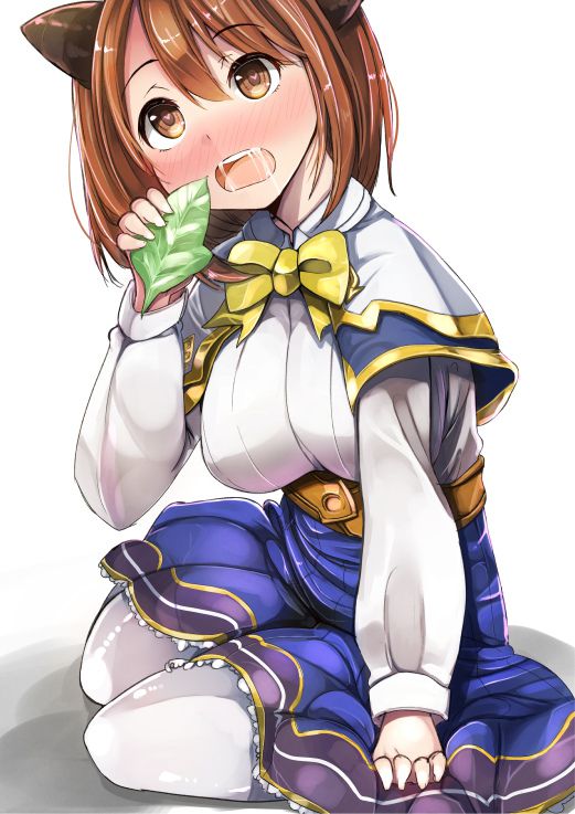 グランブルーファンタジーのあんな姿やこんな姿をじっくりまじまじと堪能したい