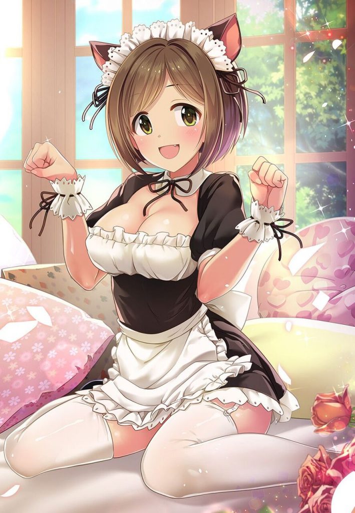 メイドのエッチな部分を奥の奥まで堪能できるエロ画像