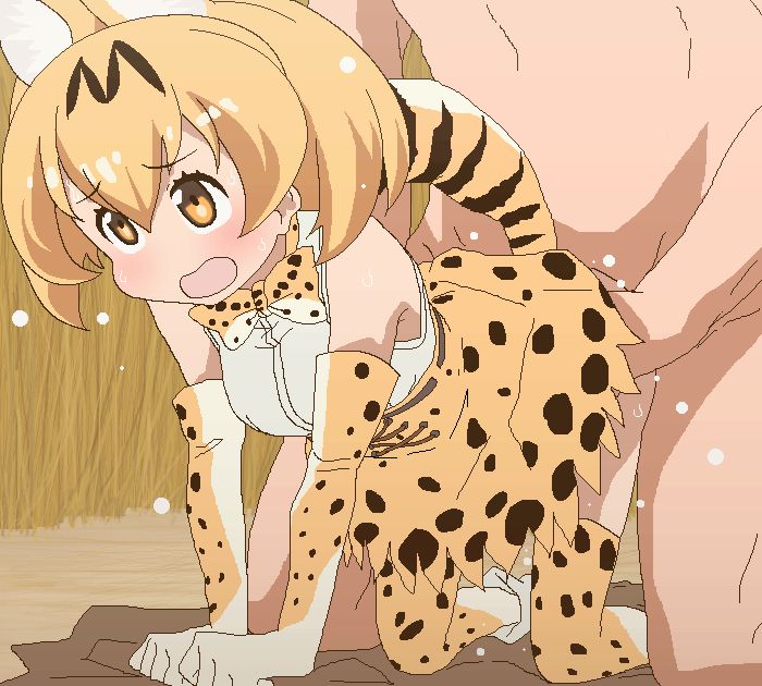けものフレンズの二次画像がヌけすぎてこまる件について
