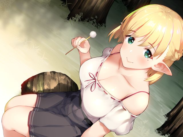 エルフのよさを再確認できるエロ画像