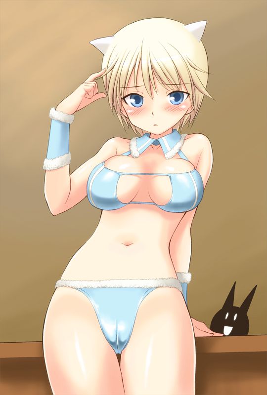 ストライクウィッチーズのエロ画像下さい