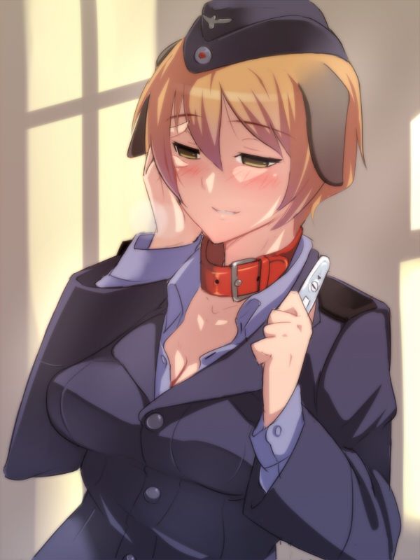 ストライクウィッチーズのエロ画像下さい