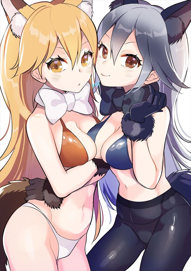 けものフレンズの二次画像がヌけすぎてこまる件について