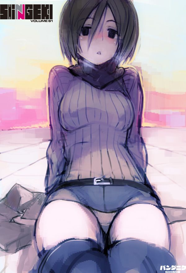 進撃の巨人の二次フェチ画像。