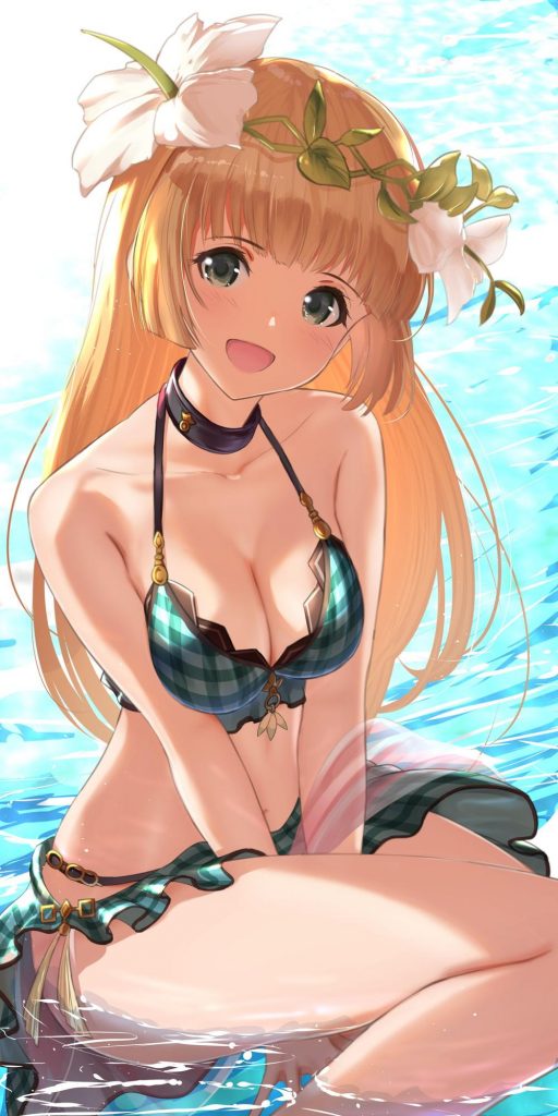 グランブルーファンタジーのあんな姿やこんな姿をじっくりまじまじと堪能したい