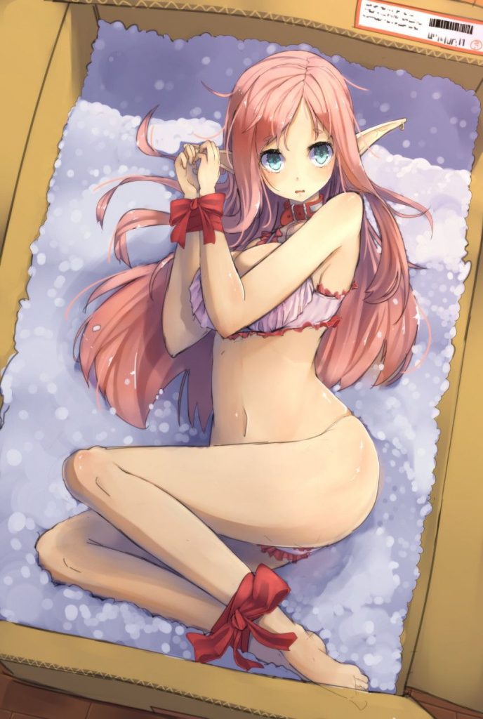エルフのよさを再確認できるエロ画像