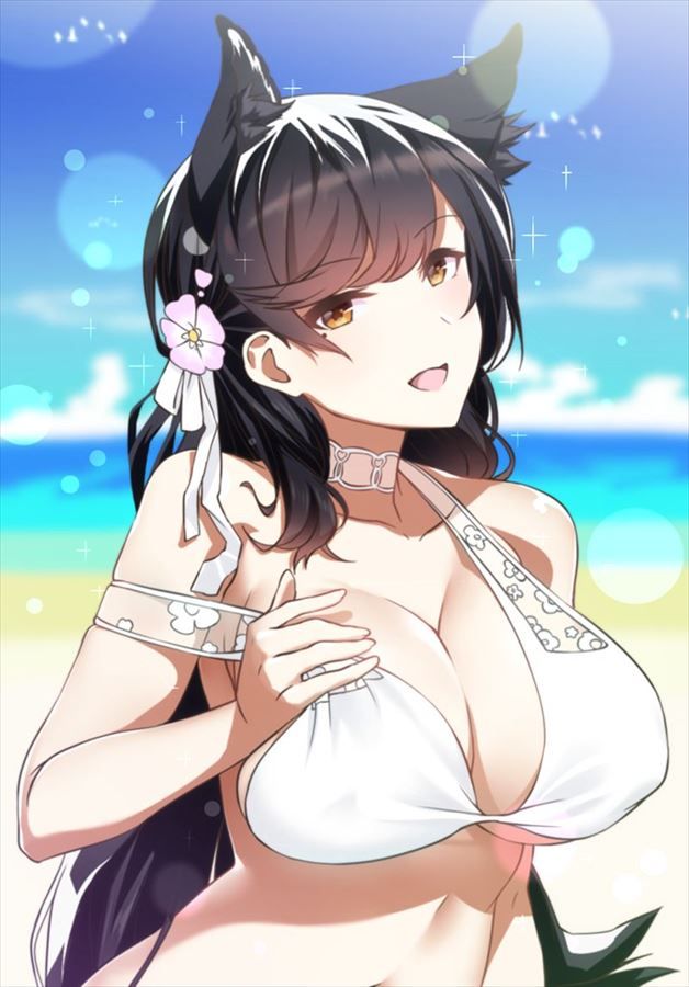 アズールレーンの超絶可愛くてセクシーな画像集!