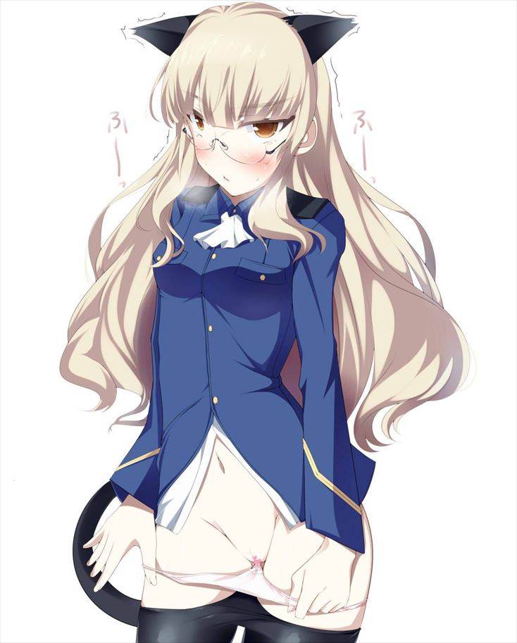 ストライクウィッチーズのエロすぎる画像