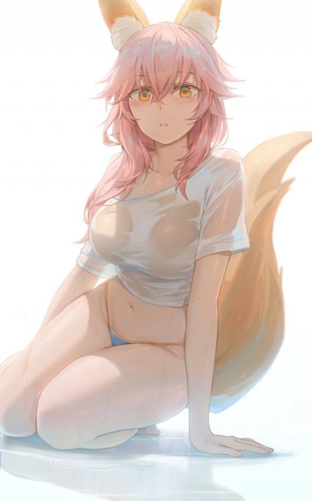 ケモ耳の秘密のエロ画像を収集