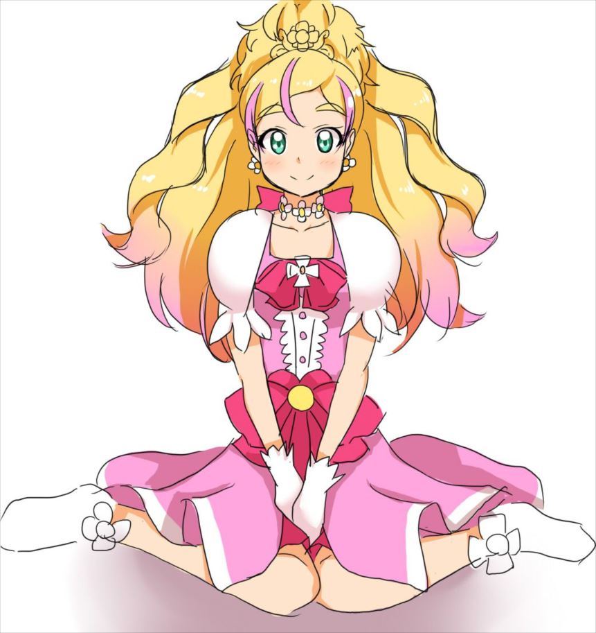 プリキュアの画像でとことんヌキヌキしたい