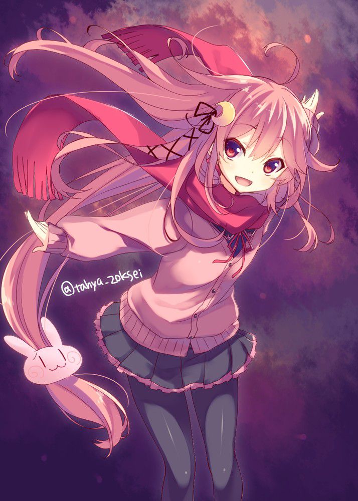 ストッキングのエロ画像がほしい！