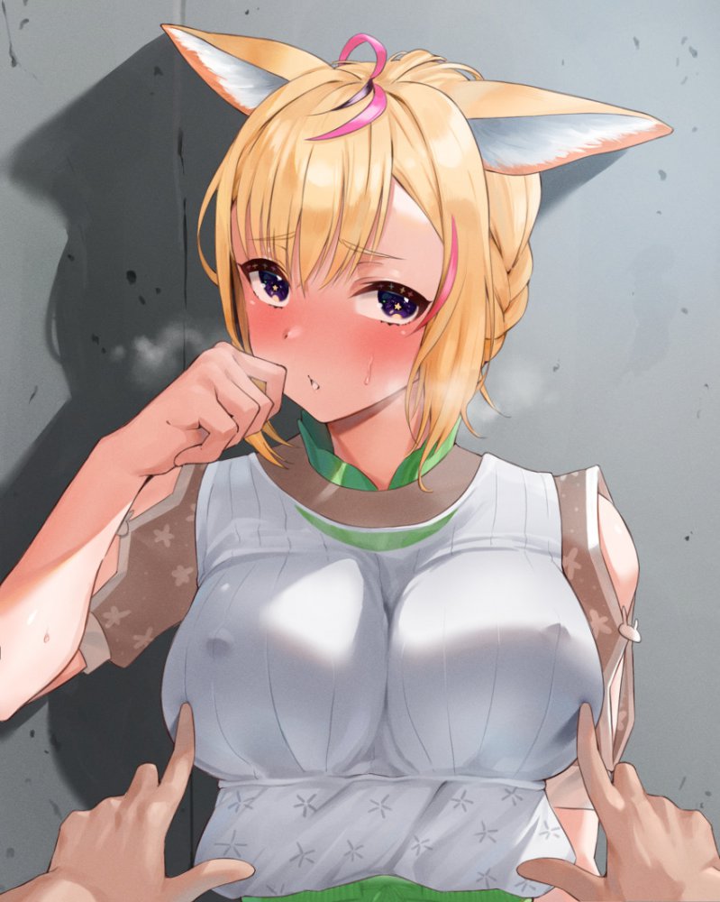 ケモ耳の秘密のエロ画像を収集