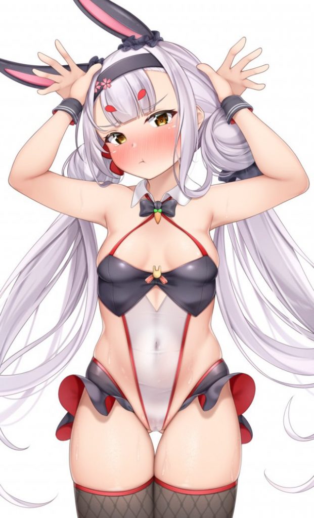 バニーガールの抜けるエロ画像まとめ！
