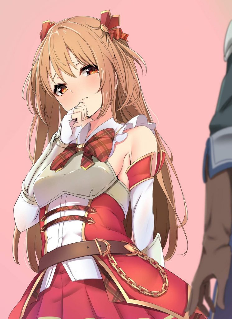 プリンセスコネクト!を期待する人が集まる画像倉庫。