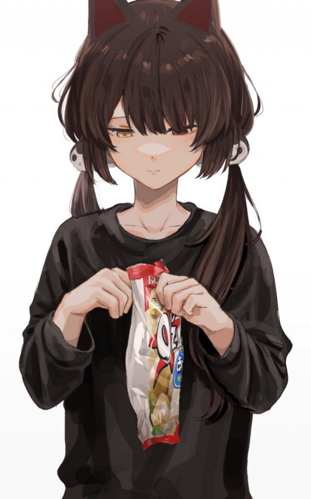 ツインテールを期待する人が集まる画像倉庫。