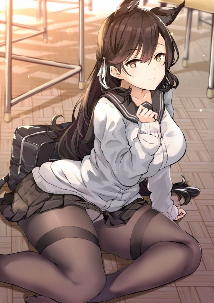 ケモ耳の二次エロ画像を愛でる。