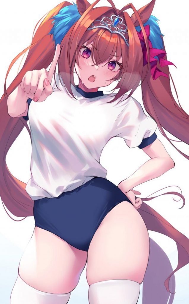 即ヌキ！ぐうシコな「ツインテール」系激レア画像ｗｗｗ【エロ画像】
