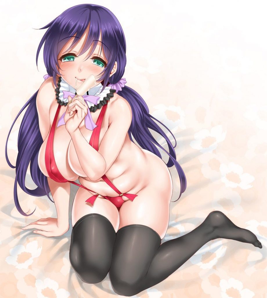 むちむちの二次エロ画像