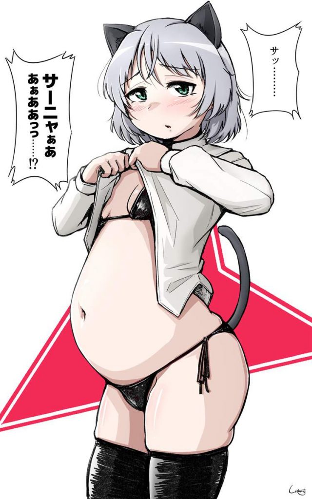 貧乳の二次元エロ画像。