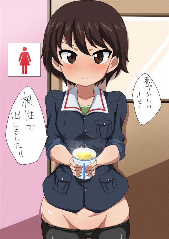ガールズ&パンツァーの秘密のエロ画像を収集