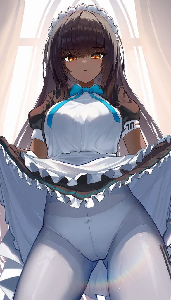 【エロ画像】マニアの抜きネタにされるメイド厳選画像wwwwwwwwww